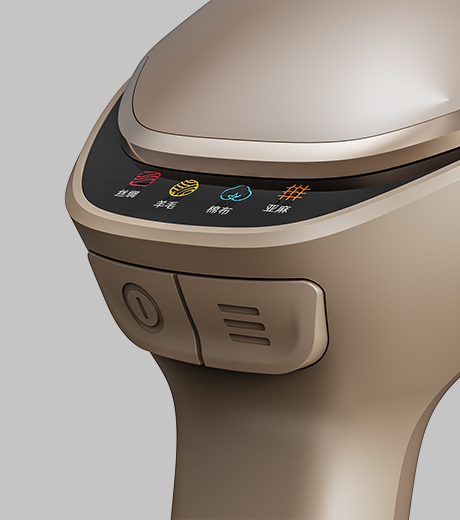 Portable Handheld Garment Steamer E19